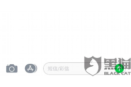 海淀为什么选择专业追讨公司来处理您的债务纠纷？